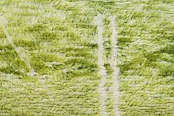 Kelim Marokkaanse Berber tapijt Azilal 250 x 160 cm