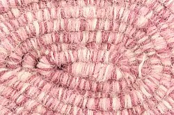Wollen-vloerkleed - Wellington (roze)