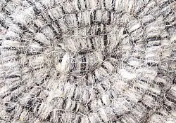 Wollen-vloerkleed - Wellington (antraciet)