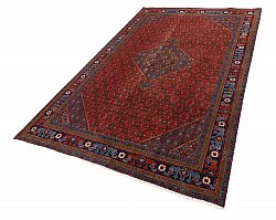 Perzisch tapijt Hamedan 281 x 197 cm