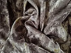 Gordijn - Cleo (grijs)