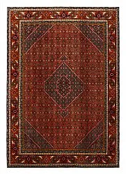 Oosters Tapijt Hamedan 279 x 195 cm