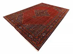 Oosters Tapijt Hamedan 289 x 199 cm