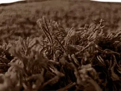 Hoogpolig vloerkleed - Bonnie Natural Cotton Shaggy (bruin)