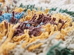 Hoogpolig vloerkleed - Siddel Natural Cotton Shaggy (beige/multi)