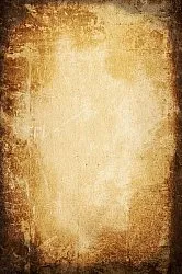 Wilton - Buendia (bruin)