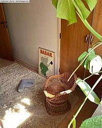 Wollen-vloerkleed - Aliste Wool Shaggy (alabaster gleam)