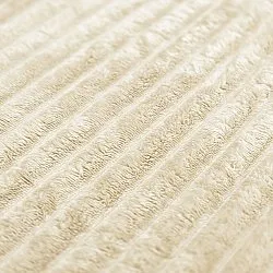 Dekens - Haines Blanket (room)