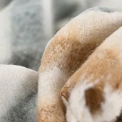 Plaid dekens - throw van wolmix - Monica (geel)