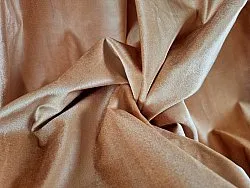 Gordijnen - Fluwelen gordijnen Juliet (beige)