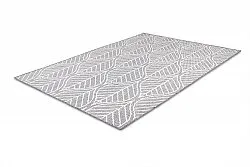 Vloerkleden voor binnen en buiten - Harvey (grijs)