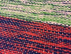 Voddenkleed van Strehög of Sweden - Florence (multi)