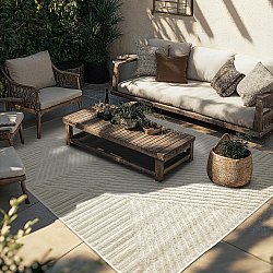 Shaggy Indoor/Outdoor - Ithaca (room)