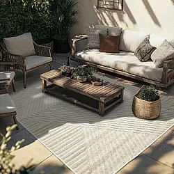 Shaggy Indoor/Outdoor - Ithaca (room)