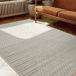 Shaggy Indoor/Outdoor - Ithaca (room)