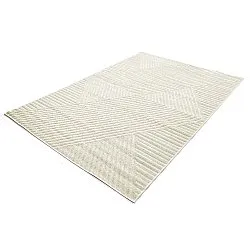 Shaggy Indoor/Outdoor - Ithaca (room)