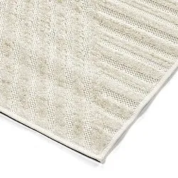 Shaggy Indoor/Outdoor - Ithaca (room)