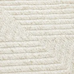 Shaggy Indoor/Outdoor - Ithaca (room)