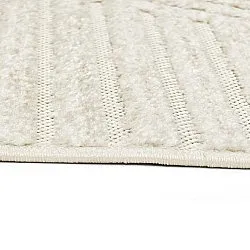 Shaggy Indoor/Outdoor - Ithaca (room)