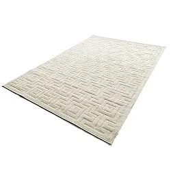 Shaggy Indoor/Outdoor - Oneida (room)