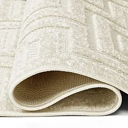 Shaggy Indoor/Outdoor - Oneida (room)