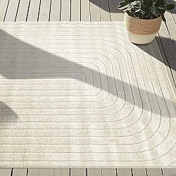 Shaggy Indoor/Outdoor - Richmond (room)