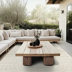 Shaggy Indoor/Outdoor - Richmond (room)