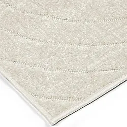 Shaggy Indoor/Outdoor - Richmond (room)