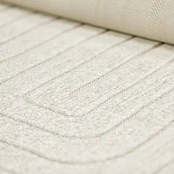 Shaggy Indoor/Outdoor - Richmond (room)