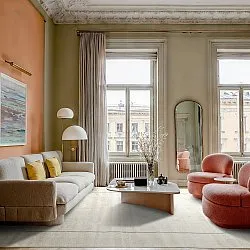 Shaggy Indoor/Outdoor - Syracuse (room)