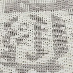 Vloerkleden voor binnen en buiten - Dhamar (taupe)