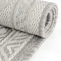 Vloerkleden voor binnen en buiten - Dhamar (taupe)