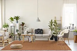 Sisal-vloerkleed - Agave (bruin-oranje)