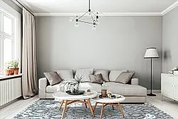 Shaggy Indoor-Outdoor - Trenton (wit/blauw)