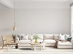 Shaggy Indoor-Outdoor - Shirley (cream)