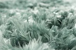 Ronde vloerkleden - Janjira (blauw/groen)