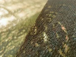 Wilton - Junes (goud)