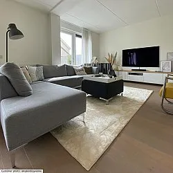 Hoogpolig vloerkleed - Aranga Super Soft Fur (beige)