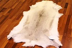 Rendierhuid - XXL # 23