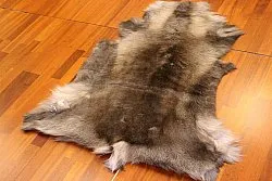 Rendierhuid - XXL # 77