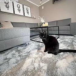 Hoogpolig vloerkleed - Aranga Super Soft Fur (grijs)