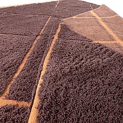 Hoogpolig vloerkleed - Bellevue Natural Cotton Shaggy (rood/oranje)