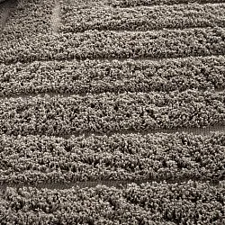 Hoogpolig vloerkleed - Conara Natural Cotton Shaggy (taupe)