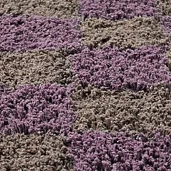 Ronde vloerkleden - Elsey Natural Cotton Shaggy (bruin/paars)