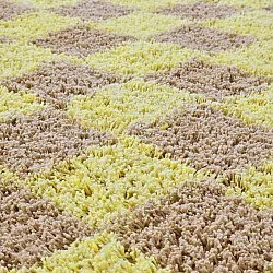 Ronde vloerkleden - Elsey Natural Cotton Shaggy (geel/beige)