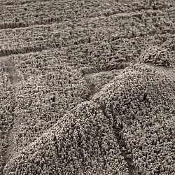 Hoogpolig vloerkleed - Farley Natural Cotton Shaggy (taupe)