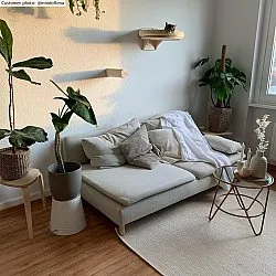 Wollen-vloerkleed - Coastal (wit)