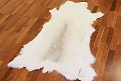 Rendierhuid - XXL # 54