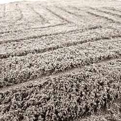 Ronde vloerkleden - Conara Natural Cotton Shaggy (taupe)