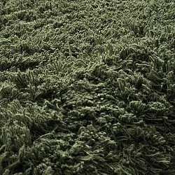 Hoogpolig vloerkleed - Fassale Hand Woven Wool Shaggy (mosgroen)